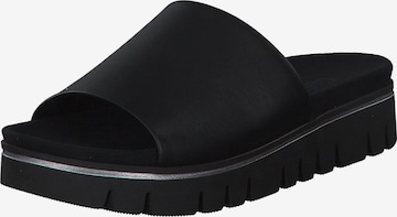 GABOR Mules in Black: front