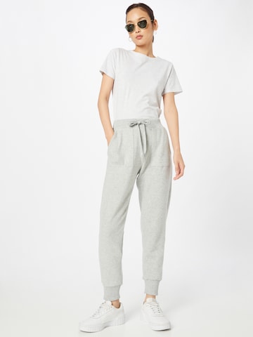 QS Tapered Pants in Grey