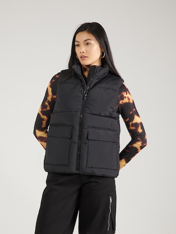 Gilet di Champion Authentic Athletic Apparel in nero: frontale