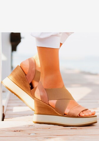 LASCANA Strap sandal in Brown: front