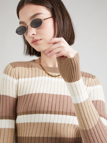 HOLLISTER Sweater 'WEBEX' in Brown