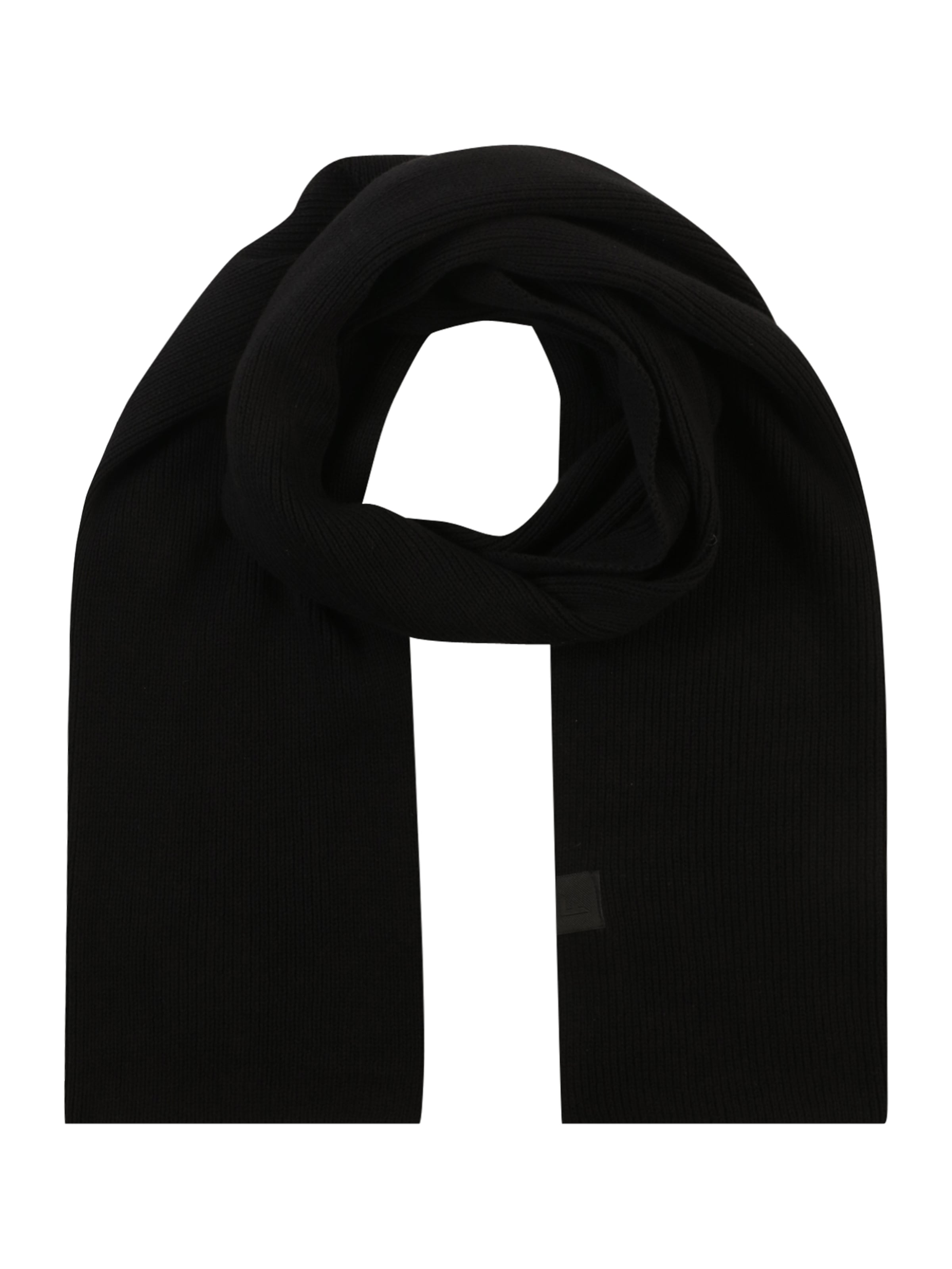 DAN FOX APPAREL Κασκόλ 'Julien' σε μαύρο: μπροστά