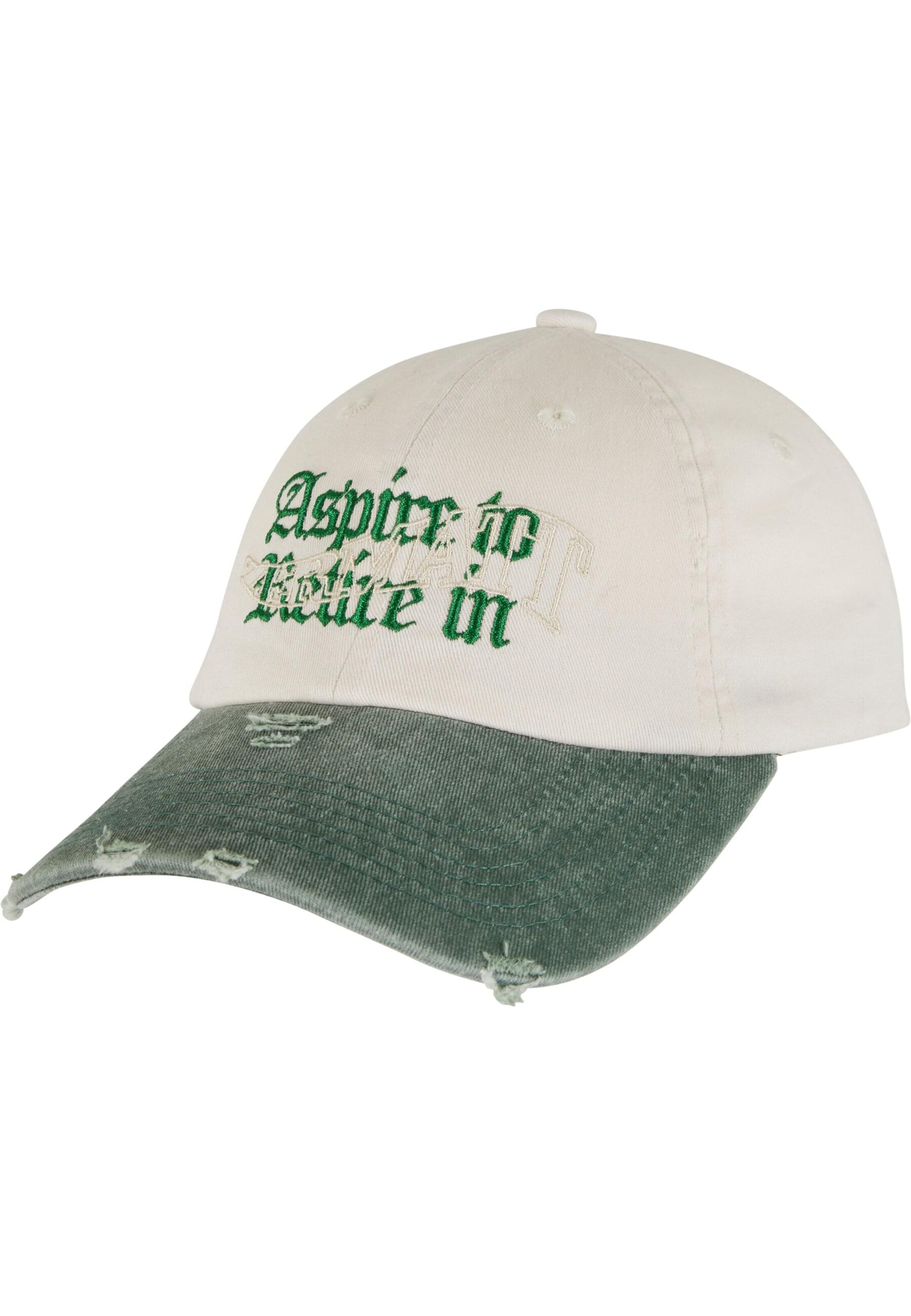 Pica Pica Cap 'Pica Pica Aspire To Retire' in Beige: front