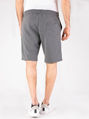 Regular Pantalon 'Zack' Felix Hardy en gris