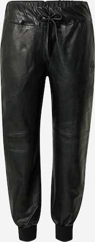 Tapered Pantaloni di FREAKY NATION in nero: frontale