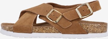 Cruz Sandals 'Peit' in Brown