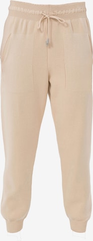 Jimmy Sanders Tapered Workout Pants in Beige: front