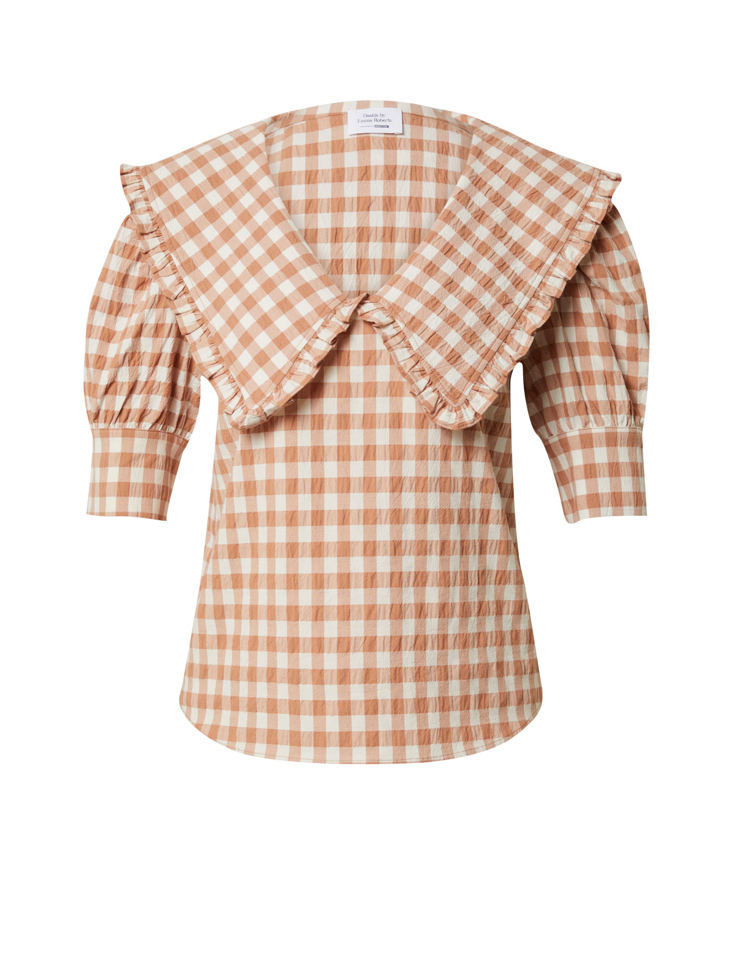 Camicia da donna 'Gina' di Daahls by Emma Roberts exclusively for ABOUT YOU in marrone: frontale