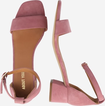 ABOUT YOU Strap Sandals 'Philine' in Pink