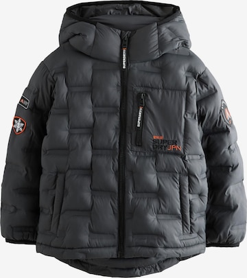 pilka Superdry Paltas: priekis