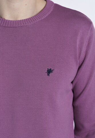 DENIM CULTURE Sweater 'NARCISO' in Purple