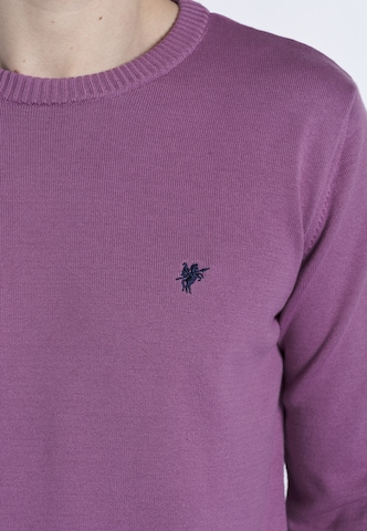 Pull-over 'NARCISO' DENIM CULTURE en violet