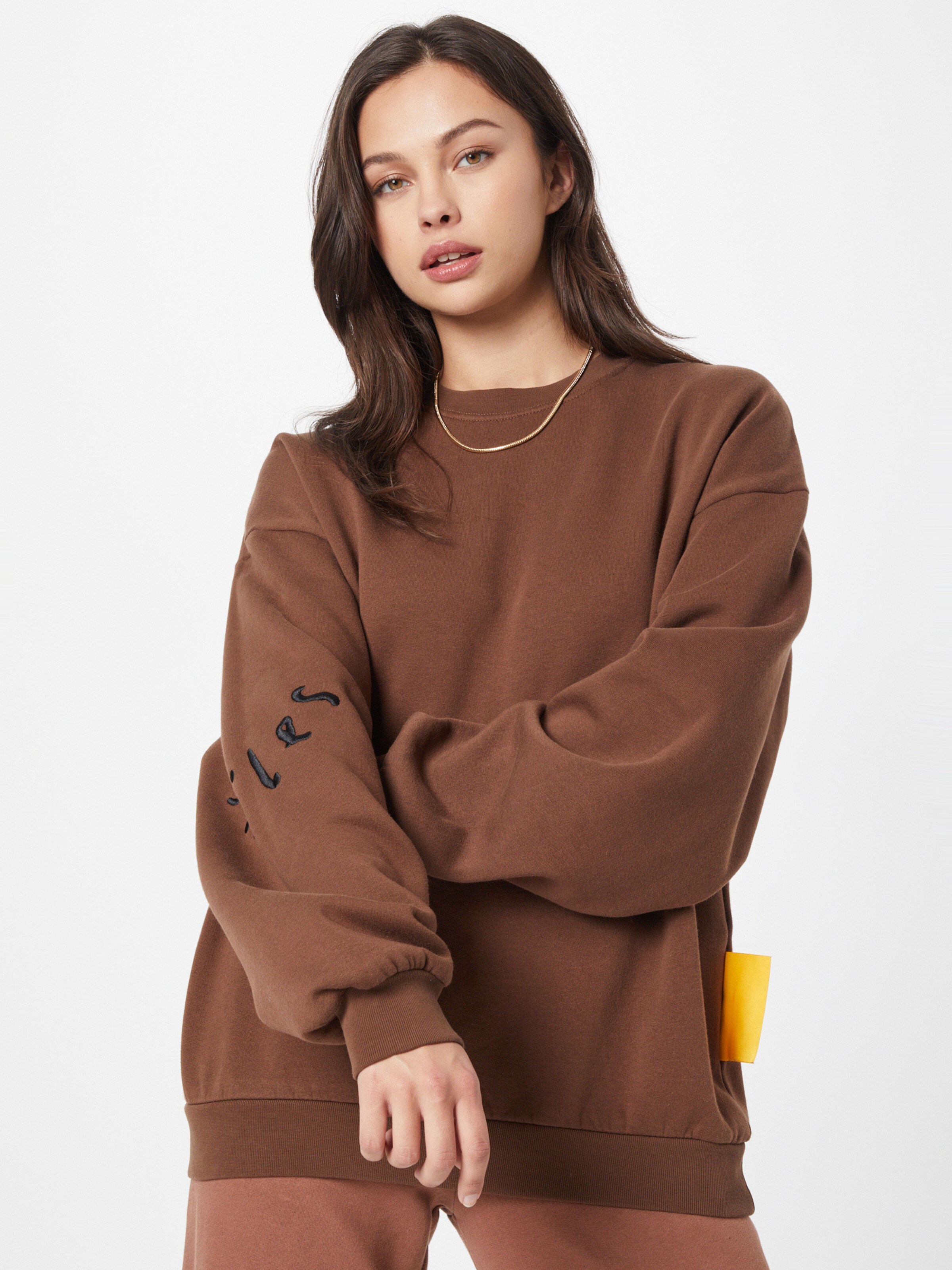 Frauen Große Größen Smiles Sweatshirt 'Rico' in Braun - AU08685 Frauen Große Größen Smiles Sweatshirt 'Rico' in Braun - AU08685