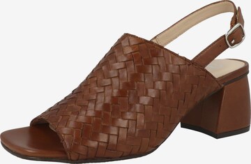 GERRY WEBER SHOES Sandals 'Sabrina 05' in Brown: front