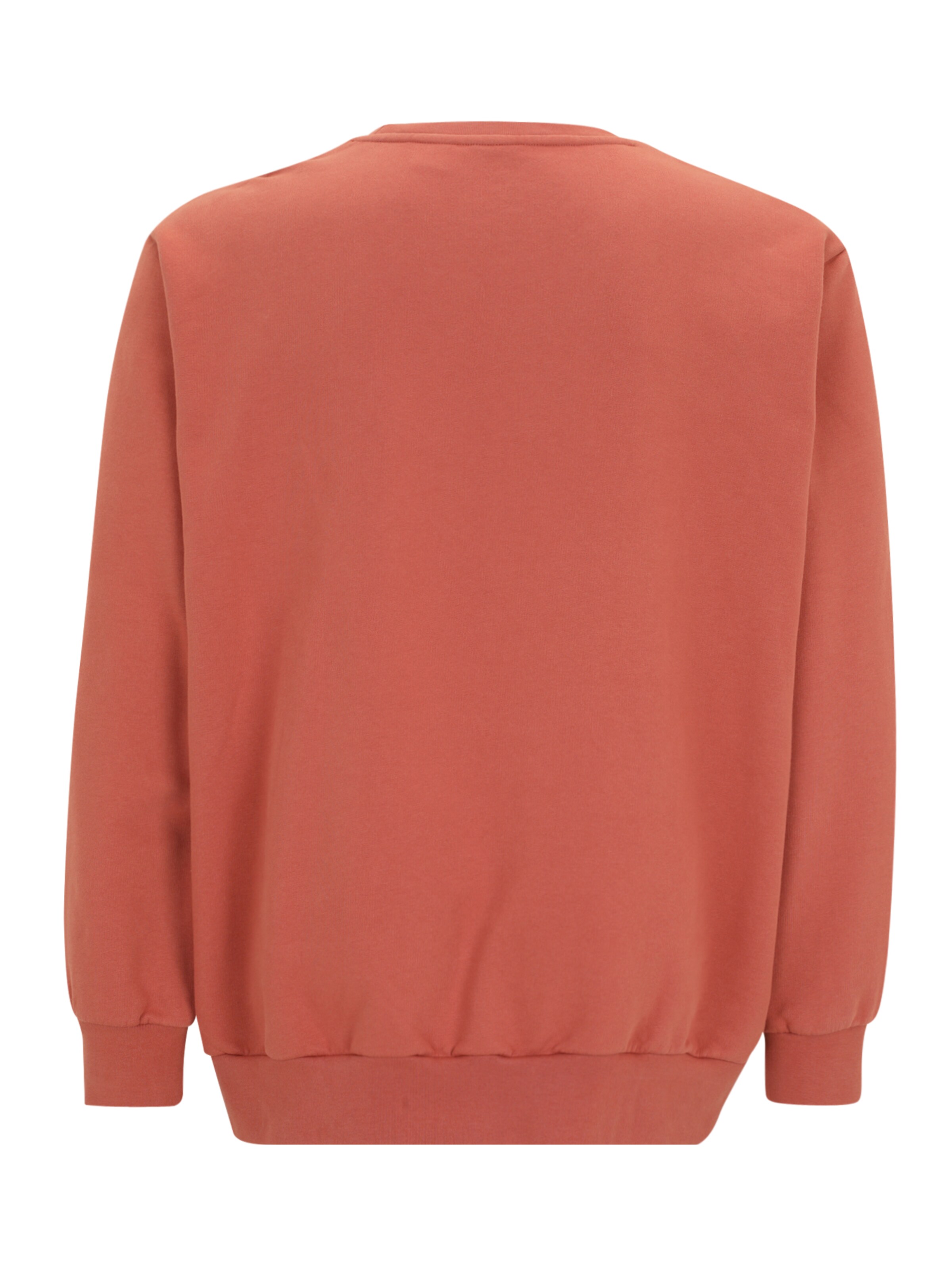 Levi's® Big & Tall Mikina - Červená