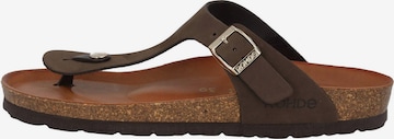 ROHDE Mules in Brown