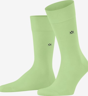 BURLINGTON Socks 'Dublin' in Green: front