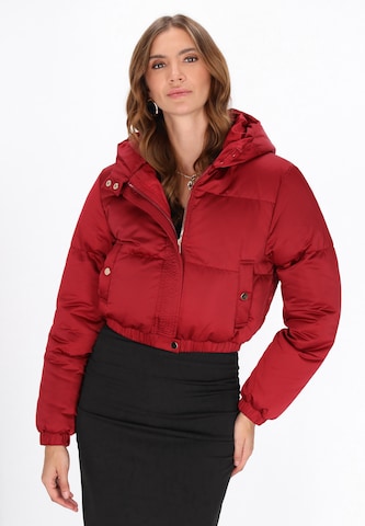 Geacă de iarnă de la faina pe roșu: față