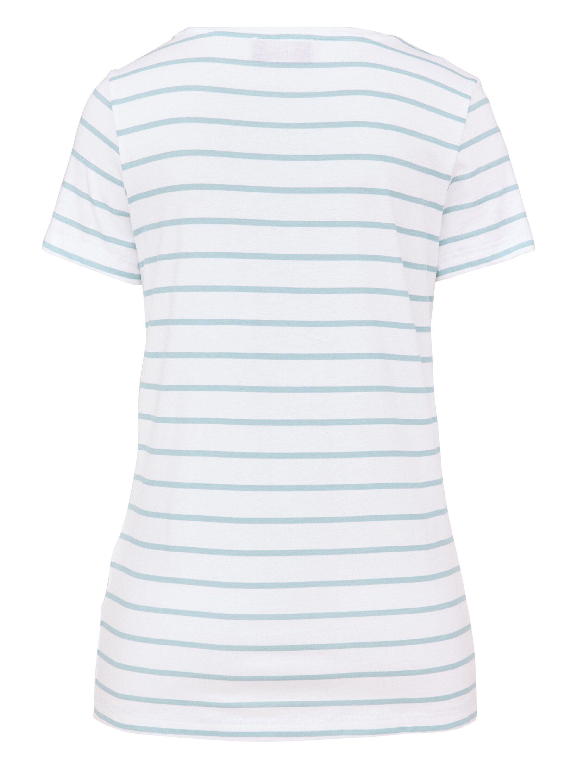 PADDOCKS Shirt in Green