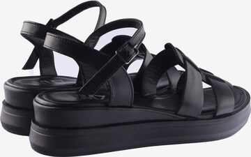 D.MoRo Shoes Sandals in Black