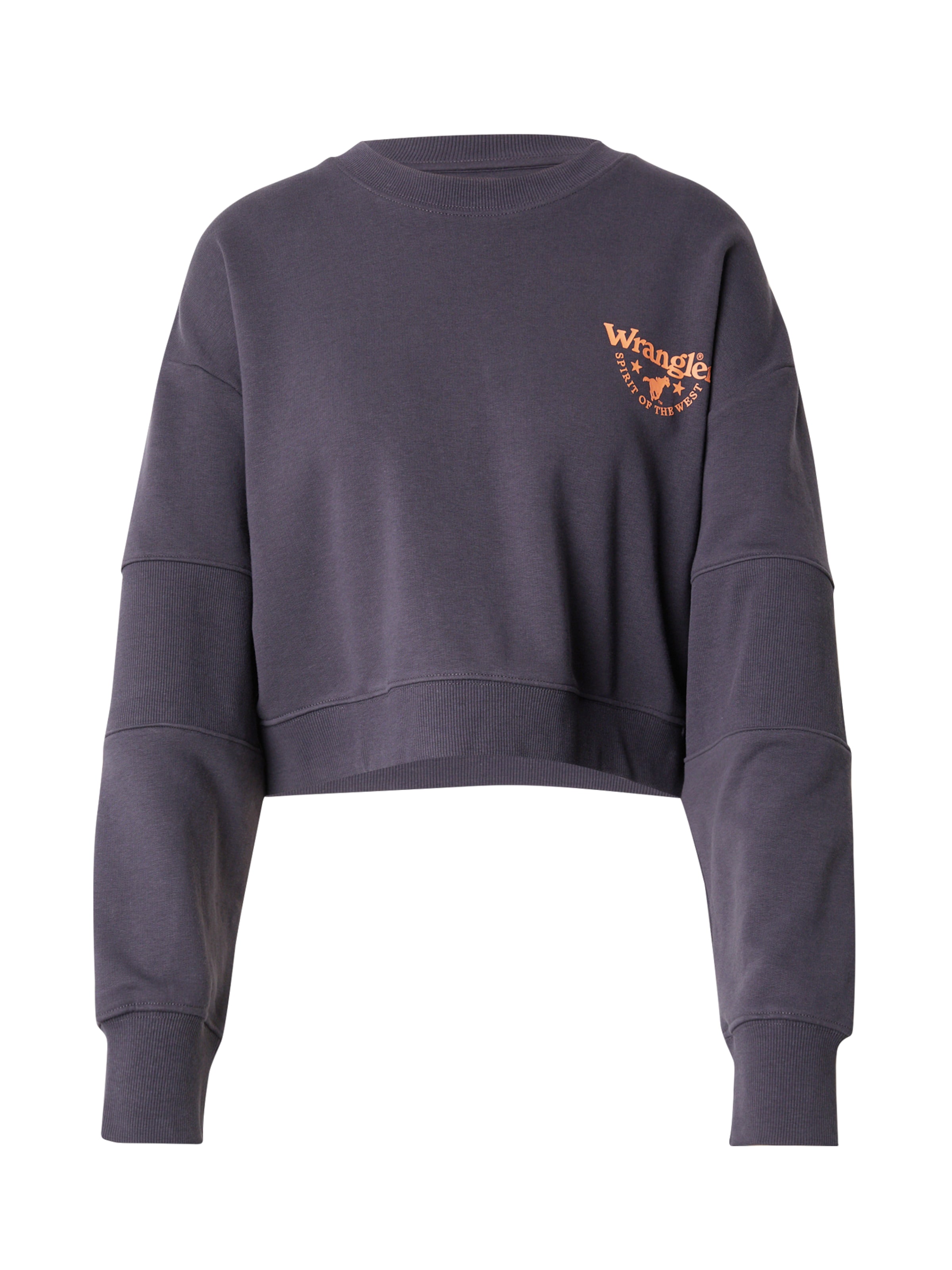 WRANGLER Sweatshirt 'PUFFY CREW SWEAT' in Zwart: voorkant