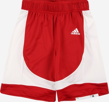ADIDAS PERFORMANCE Spordipüksid, värv punane: eest vaates