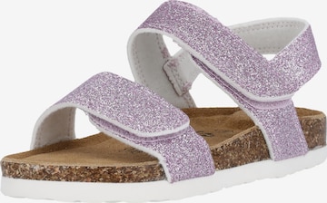 ZigZag Sandals & Slippers in Purple: front