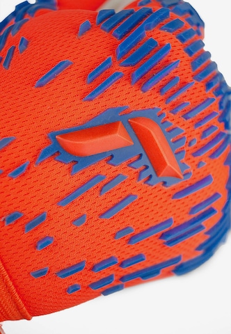 REUSCH Athletic Gloves 'Attrakt Freegel' in Orange