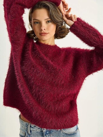 Bianco Lucci Pullover in Rot