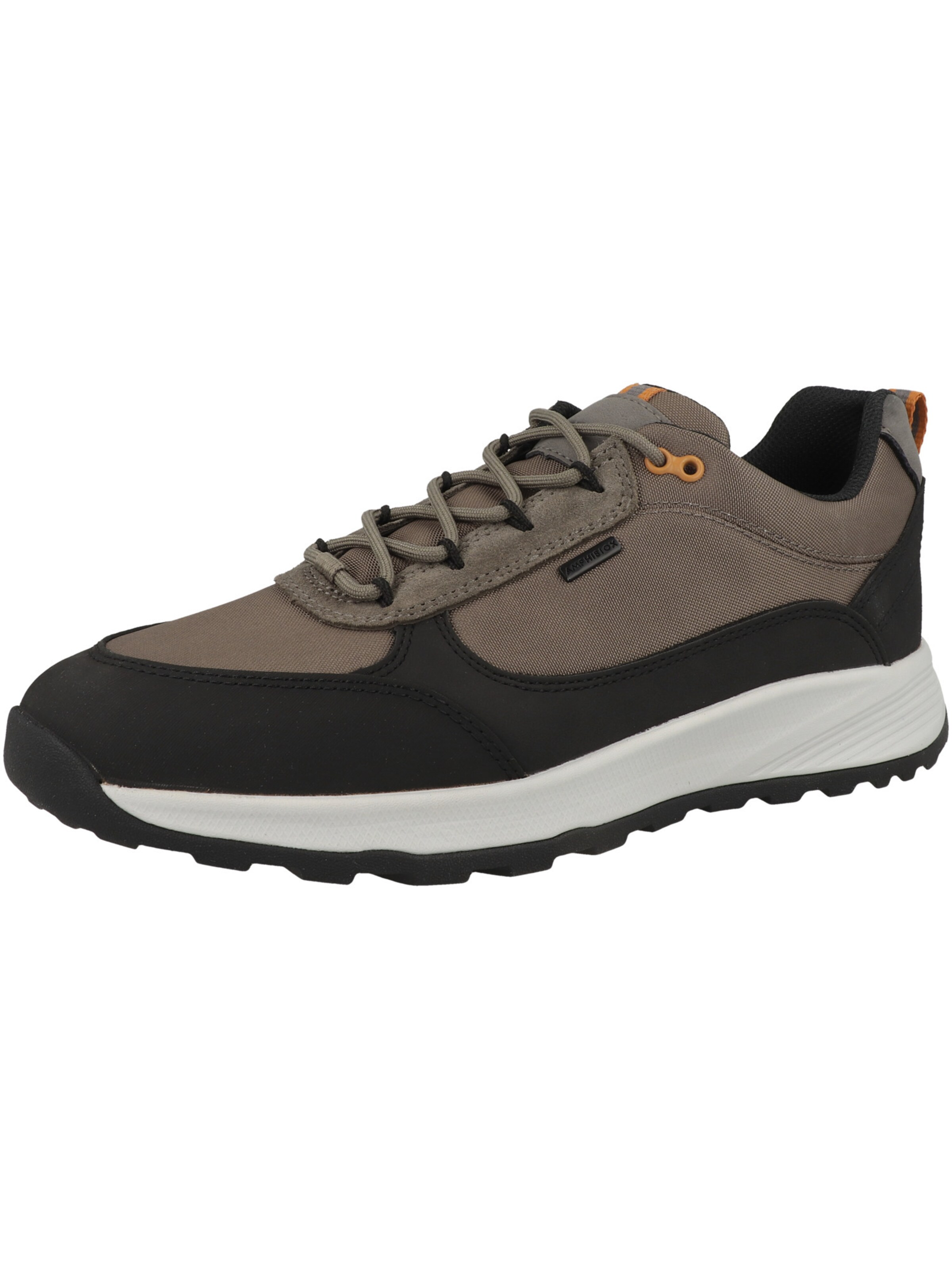 Baskets basses GEOX en marron : devant