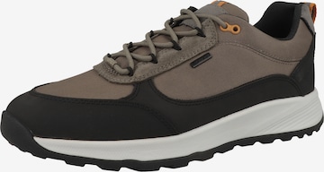 GEOX - Sapatilhas baixas em castanho: frente