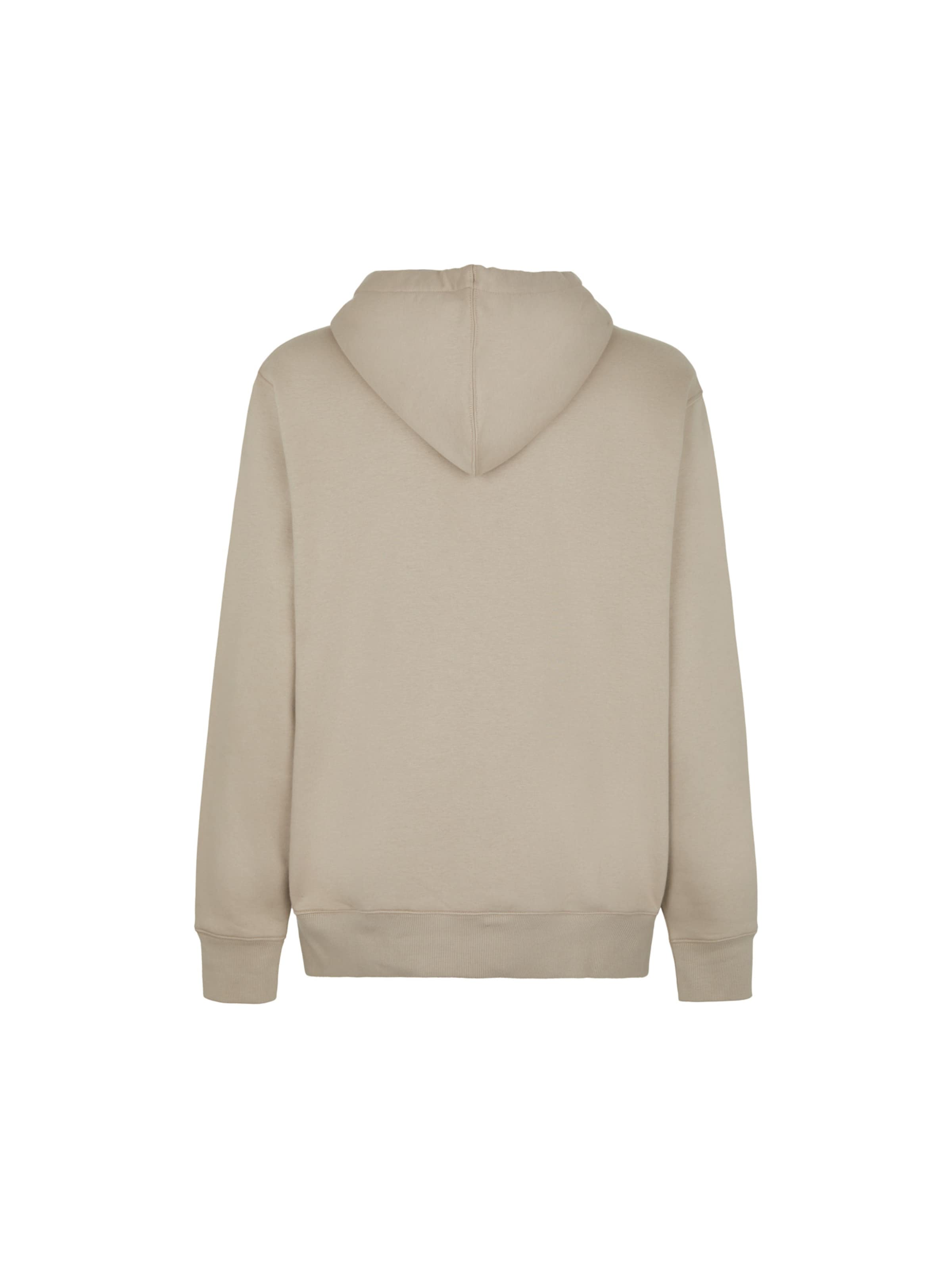 DICKIES Sweatshirt 'SUMMERDALE' in Beige