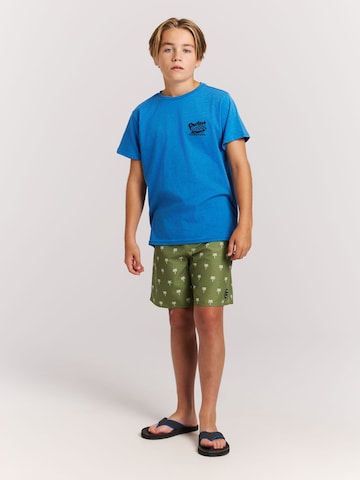 Shorts de bain 'PRTCalvin JR' PROTEST en vert : devant