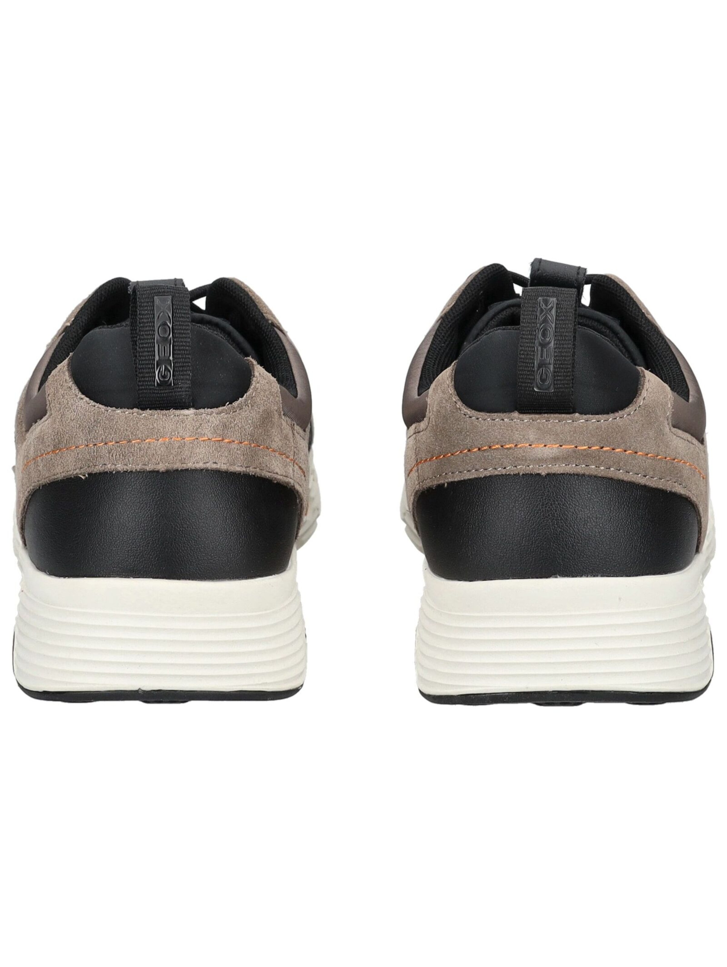 Baskets basses 'Spherica Ecub-4' GEOX en gris