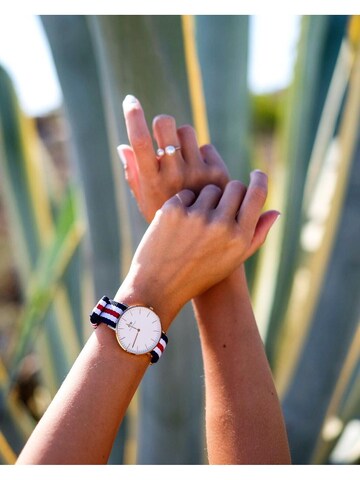 Montre à affichage analogique 'Classic Canterbury RG White' Daniel Wellington en mélange de couleurs : devant