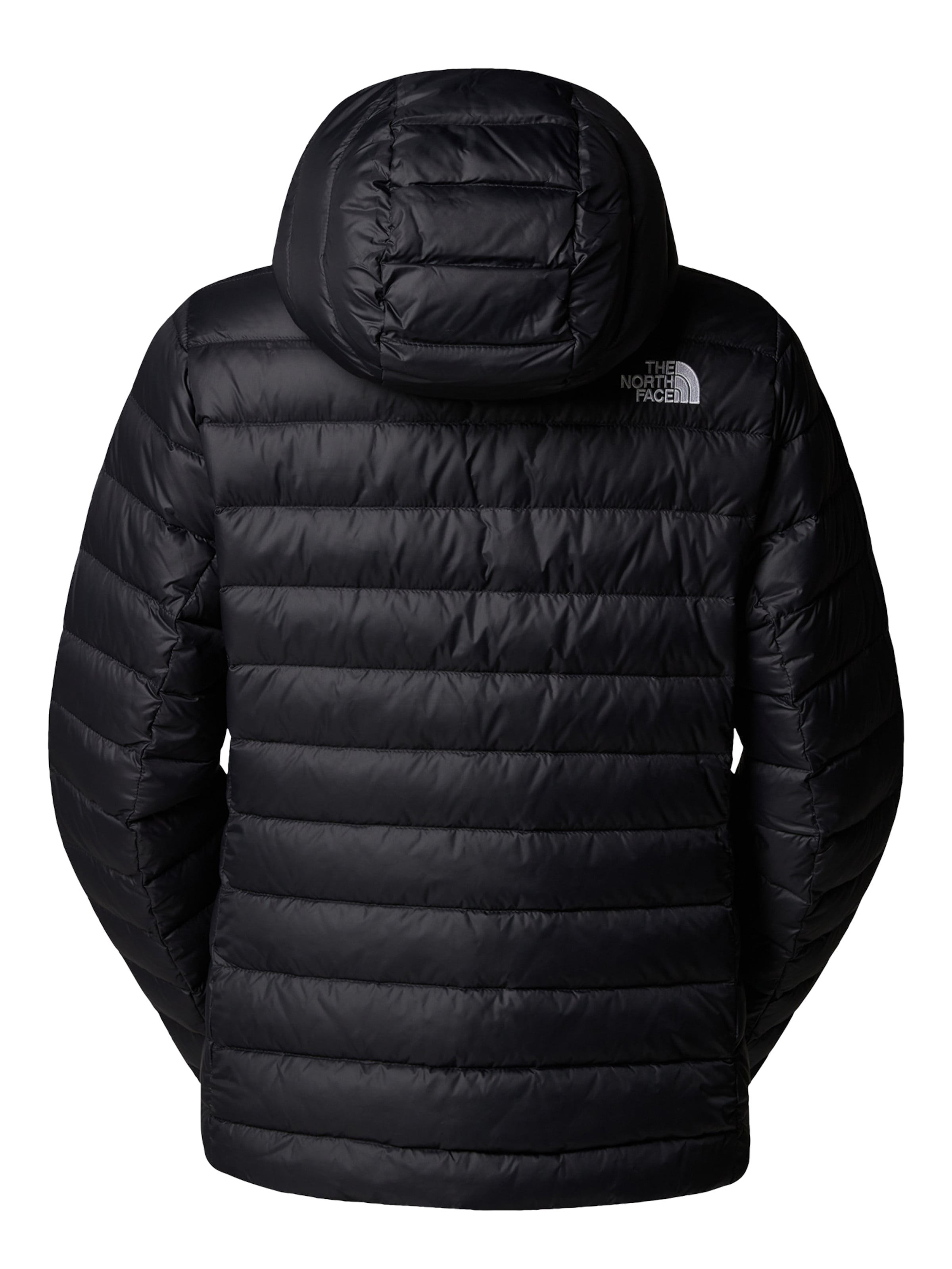 THE NORTH FACE Демисезонная куртка в Черный