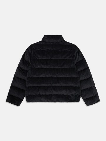 Nike Sportswear Зимняя куртка в Черный