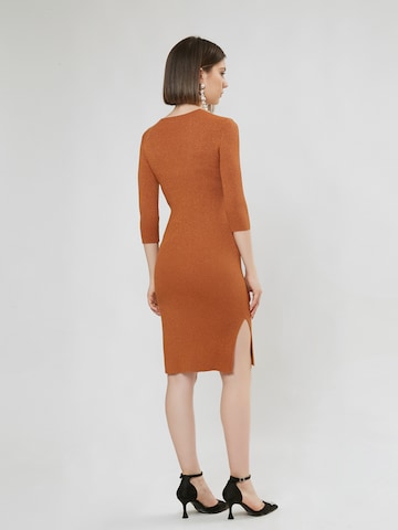 Influencer Knitted dress in Brown