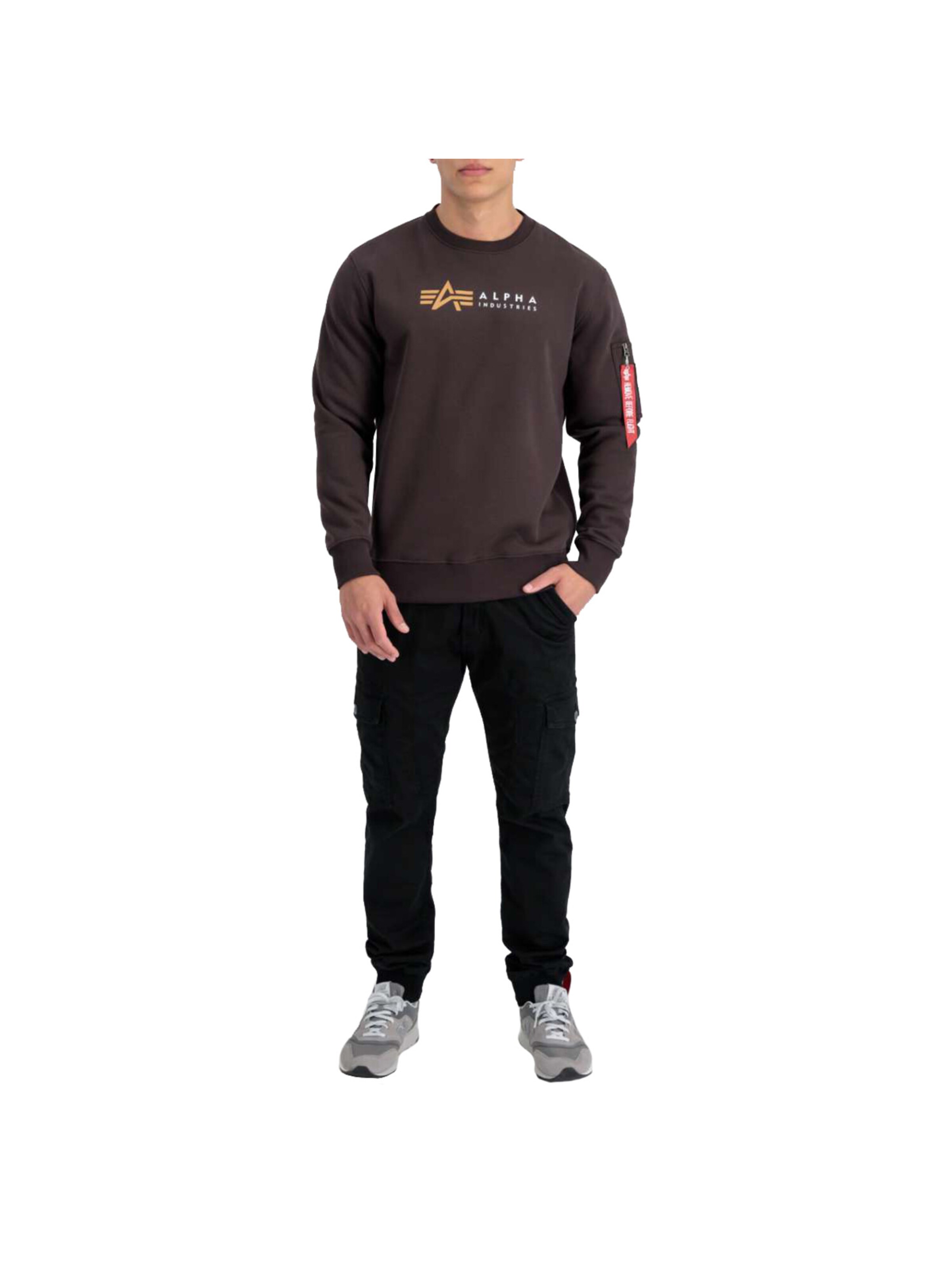 ALPHA INDUSTRIES Sweatshirt 'Alpha Label' in Brown