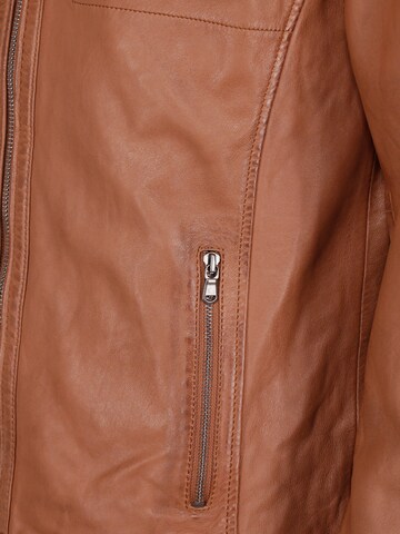 JCC Tussenjas in Bruin