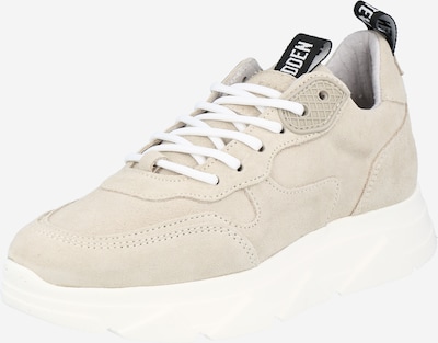 STEVE MADDEN Sneaker 'PITTY' in beige, Produktansicht