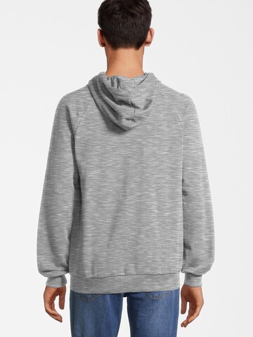FILA Sweatshirt 'BRAIVES' i grå