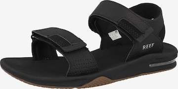 REEF Sandals 'Baja' in Black