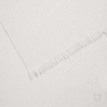 CODELLO Schal in Weiß