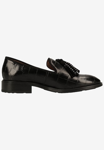 Chaussure basse Wonders en noir