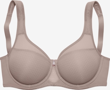 NUANCE Bra in Brown: front
