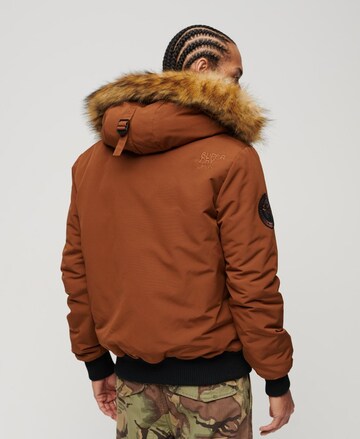 Superdry Winter Jacket 'Everest' in Brown