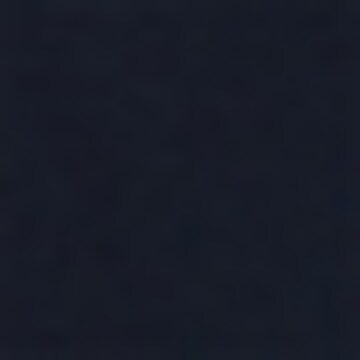 BOSS Regular Shorts in Blau