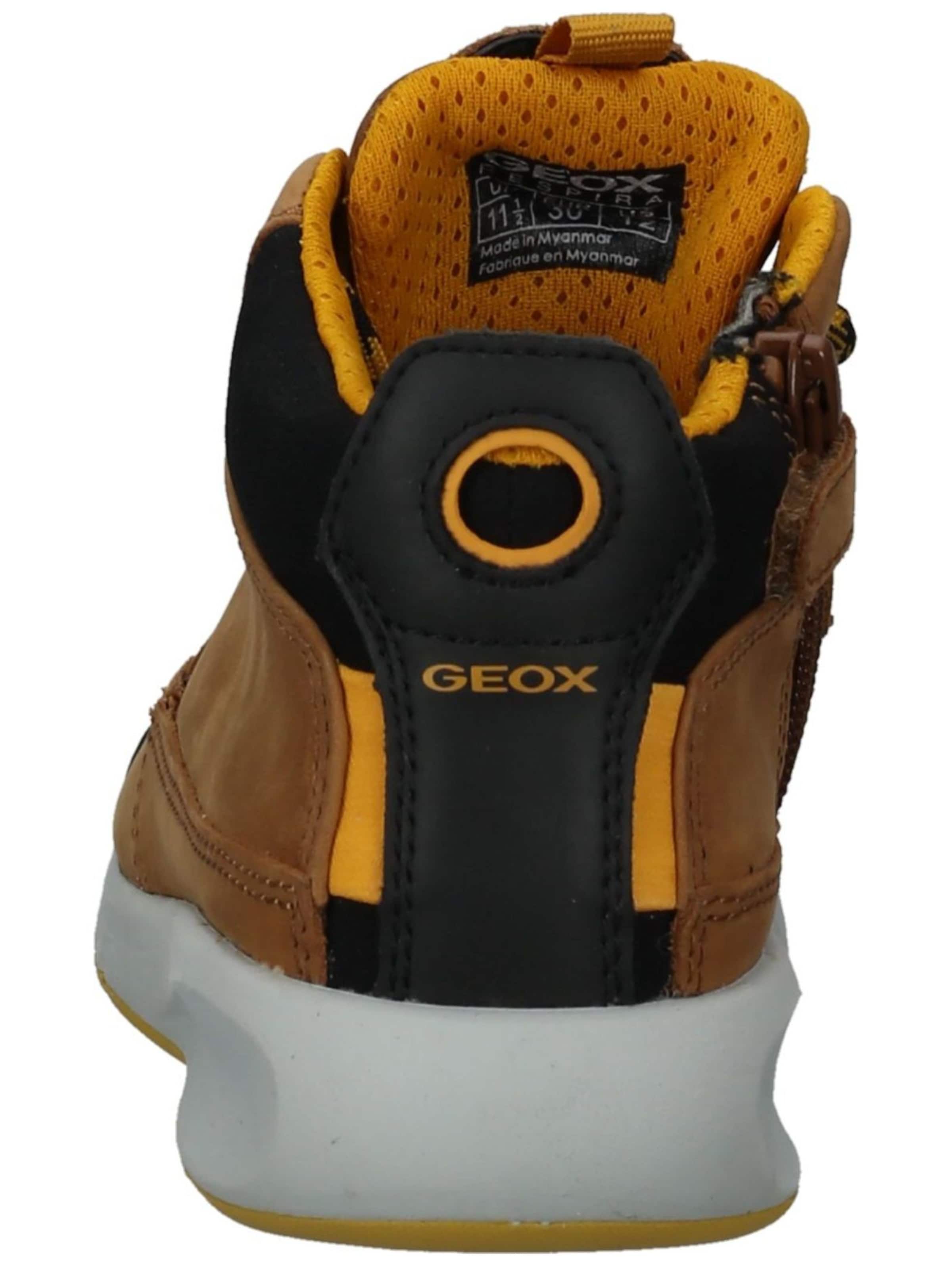 GEOX Stiefel in Braun
