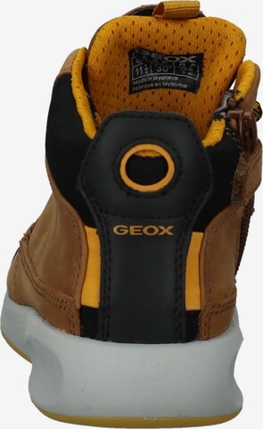 Bottes GEOX en marron